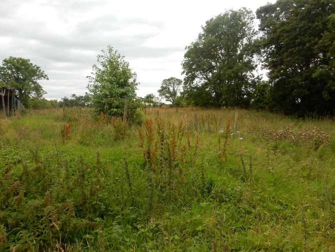 Lot Image