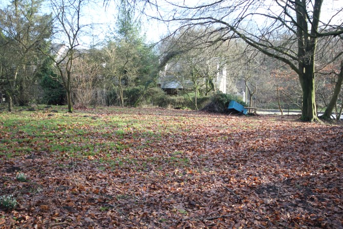 Lot Image