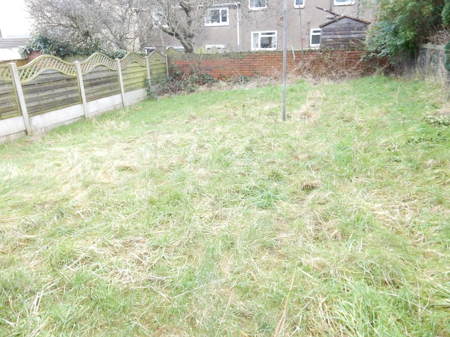 Lot Image