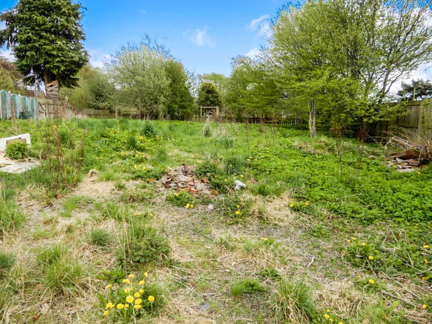 Lot Image