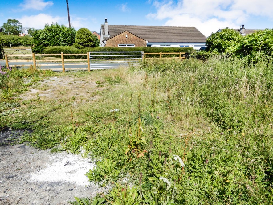 Lot Image
