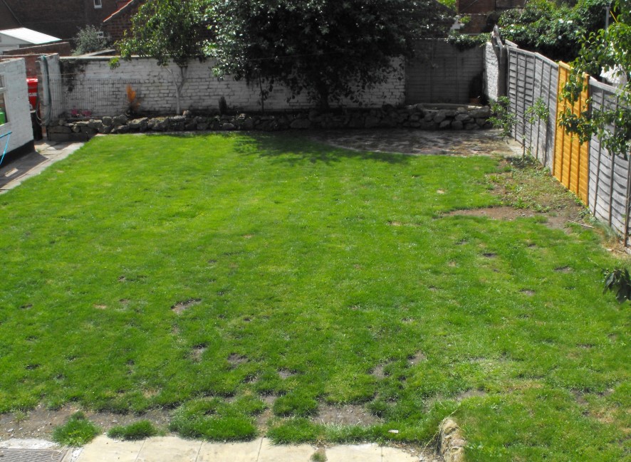 Lot Image