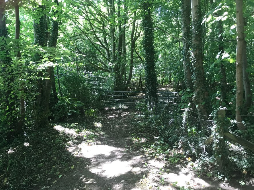 Lot Image