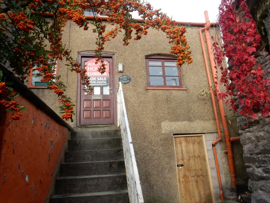 Lot Image