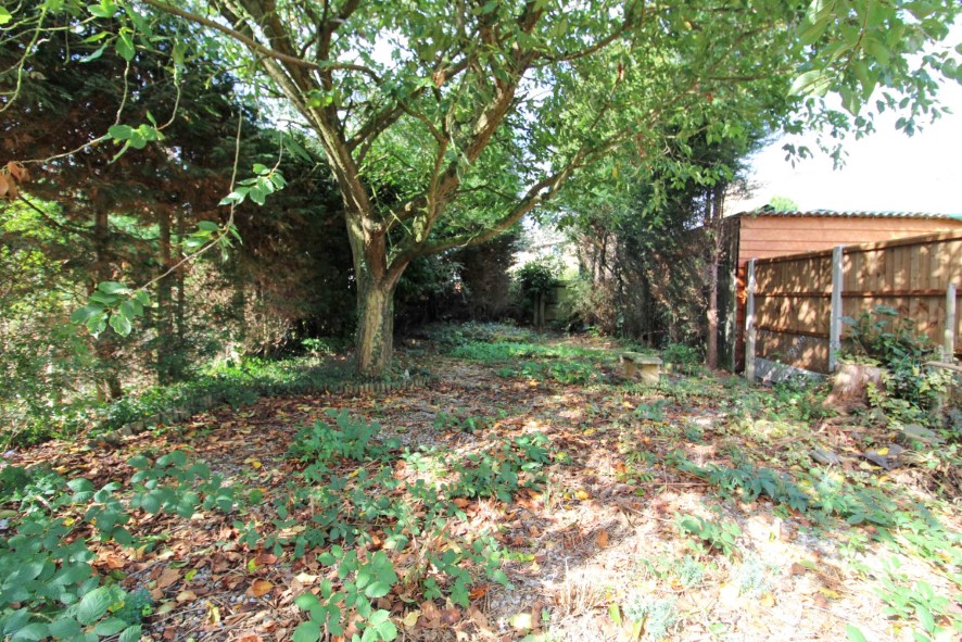 Lot Image