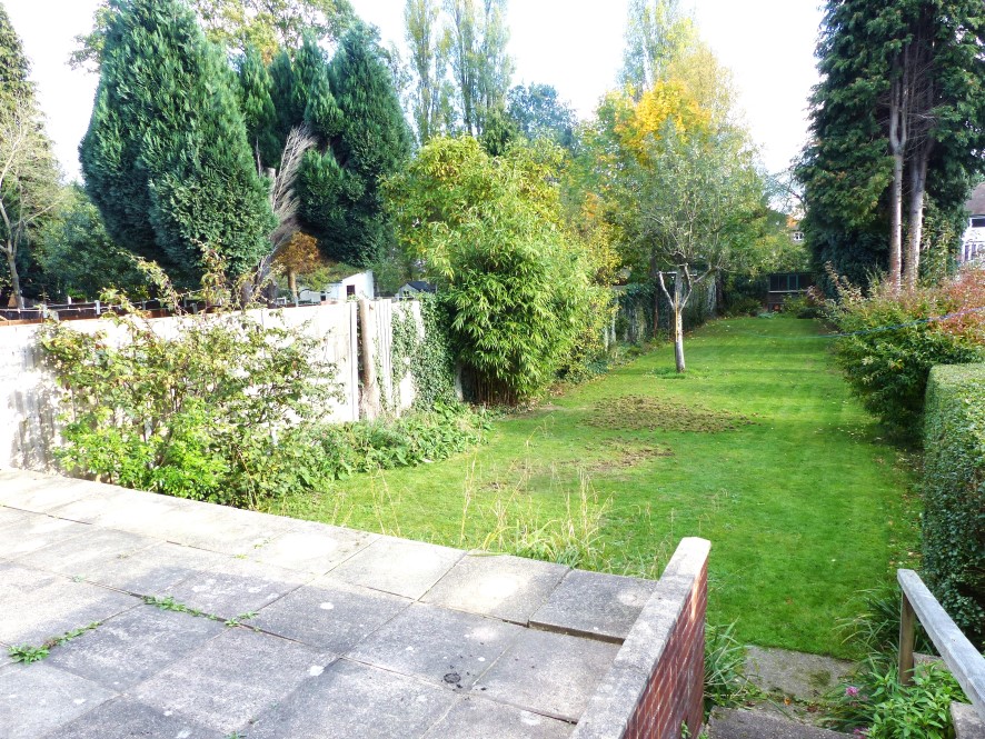 Lot Image
