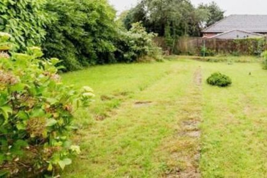 Lot Image