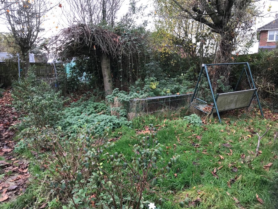 Lot Image