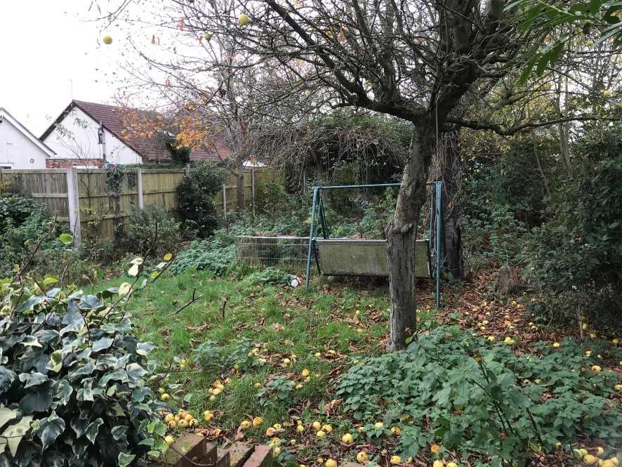 Lot Image