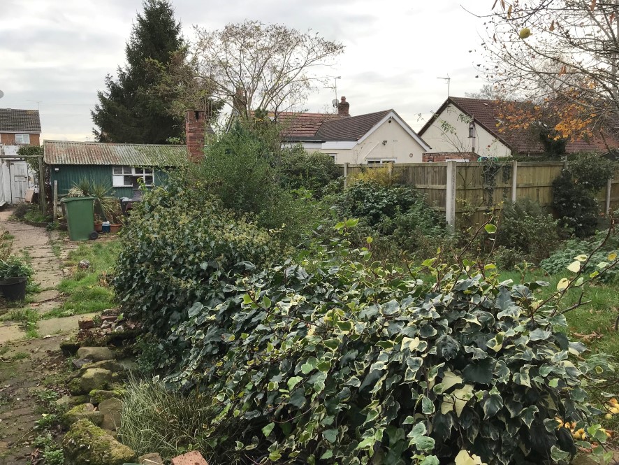 Lot Image