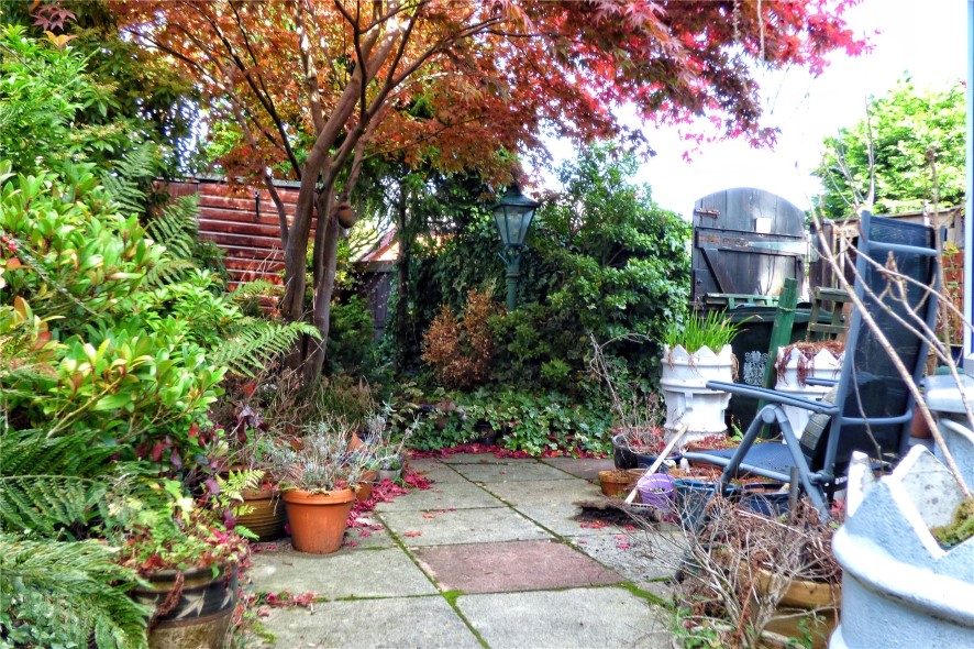 Lot Image