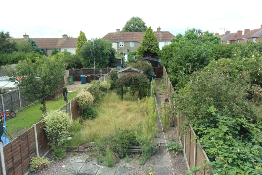 Lot Image