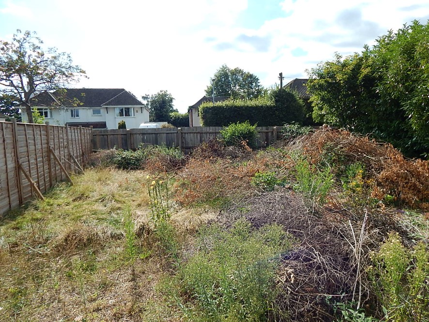 Lot Image