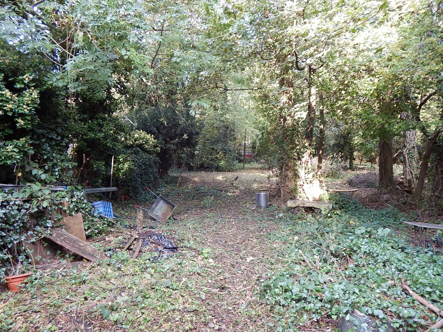 Lot Image