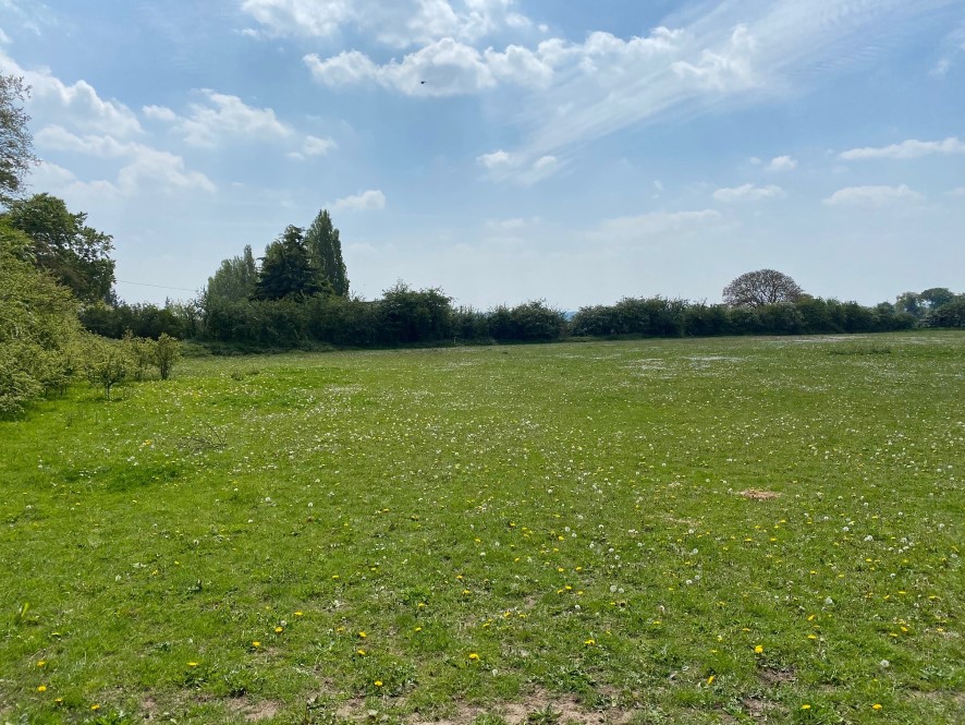 Pasture Land, Mill Lane, Witton, Brundall, Norfolk, NR13 5DS