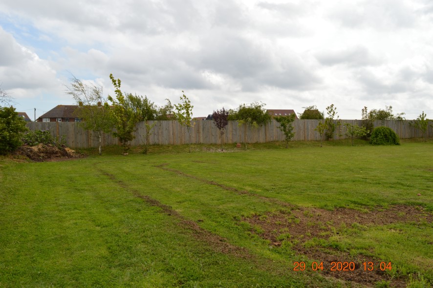 Lot Image