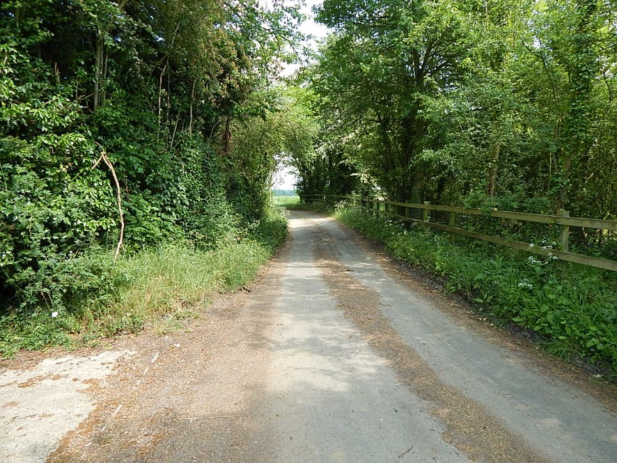 Lot Image