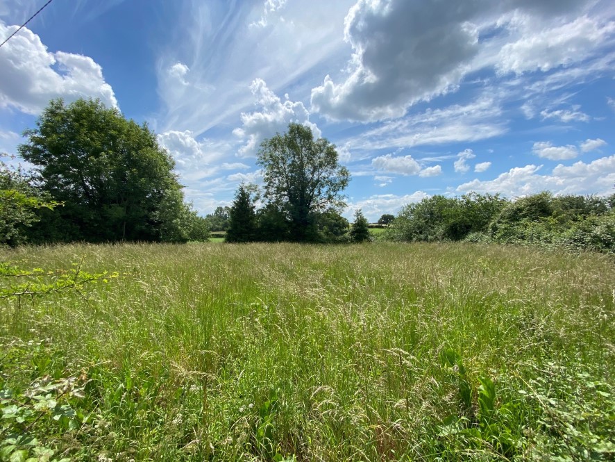 Land Opposite Valley View, Hoe Road, Longham, Dereham, Norfolk, NR19 2RP