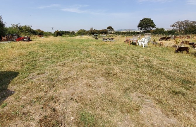 Lot Image