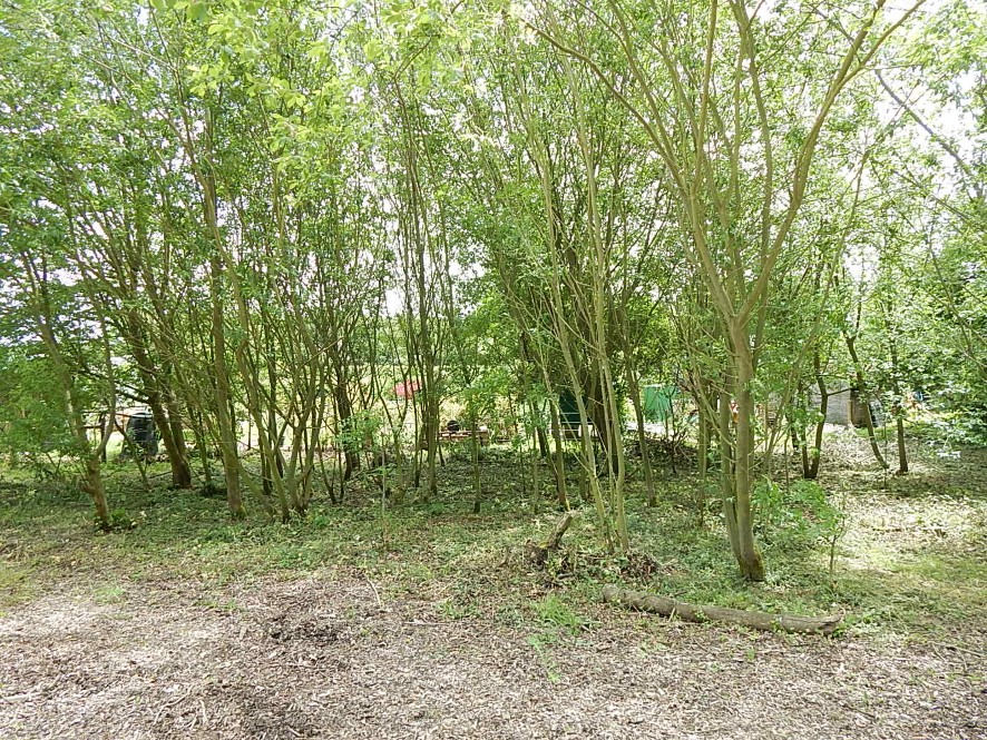 Lot Image
