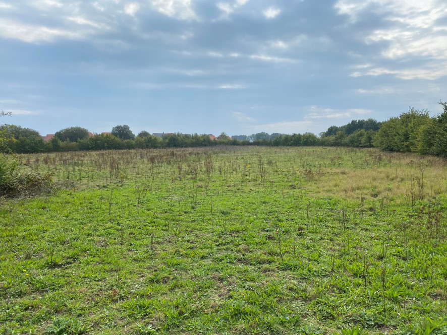 Lot Image