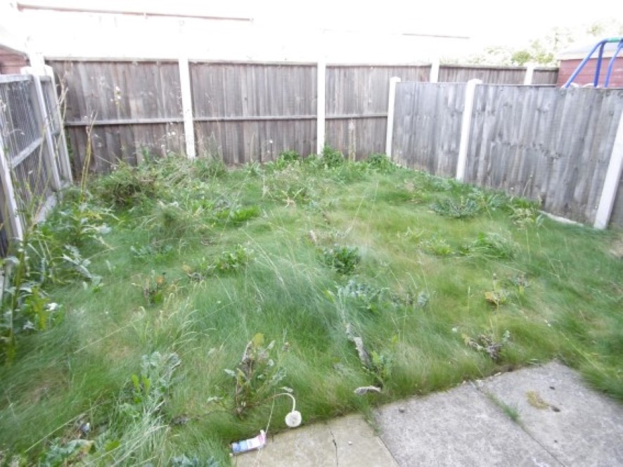 Lot Image