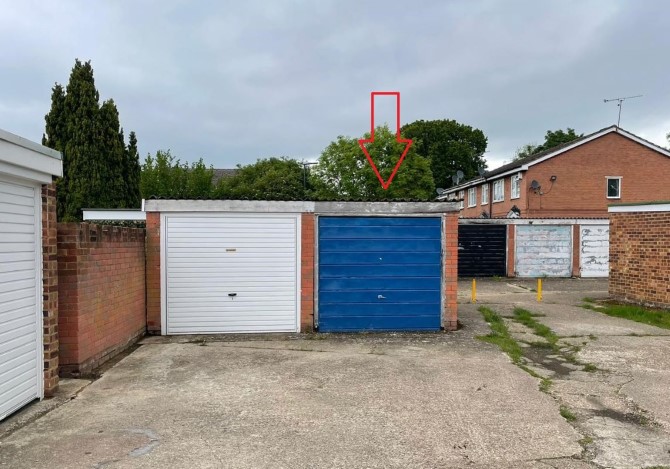 Lot Image