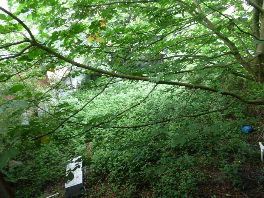 Lot Image