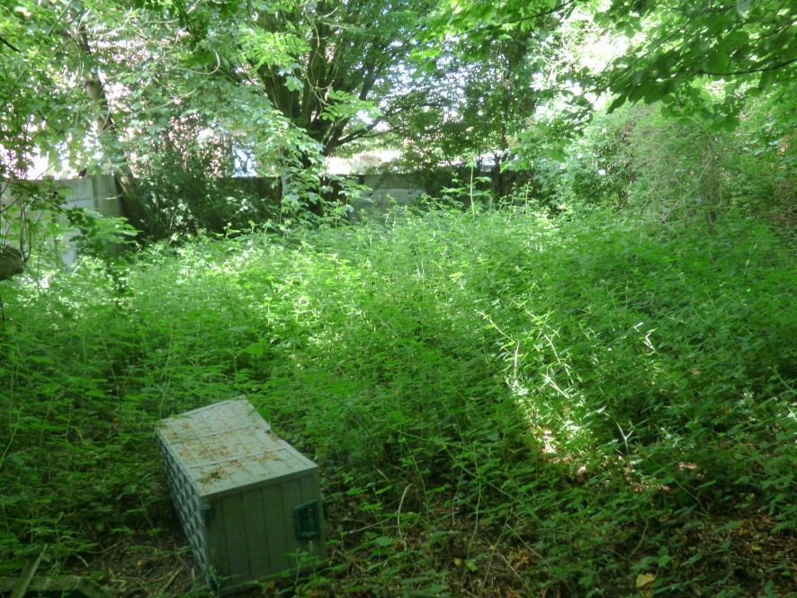 Lot Image