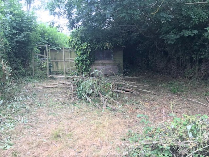 Lot Image