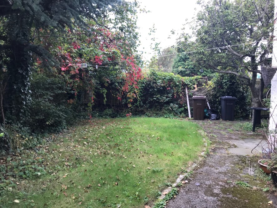 Lot Image
