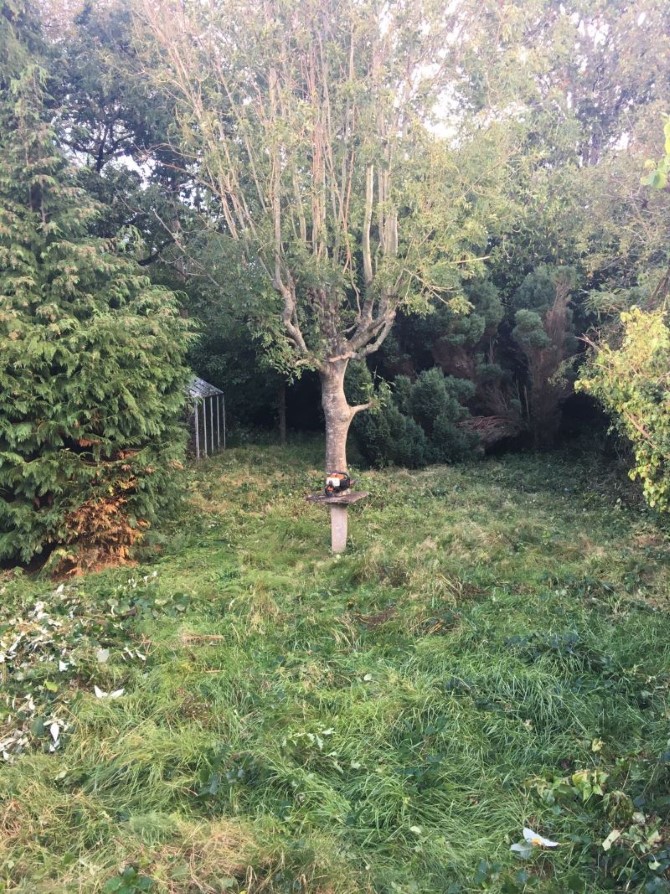 Lot Image