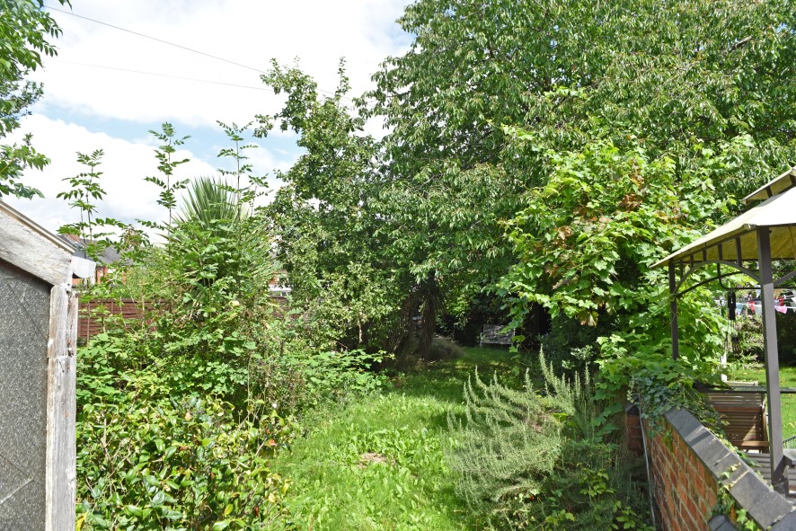 Lot Image