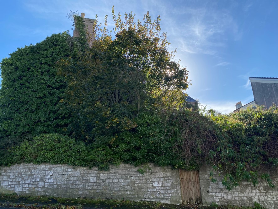 Lot Image