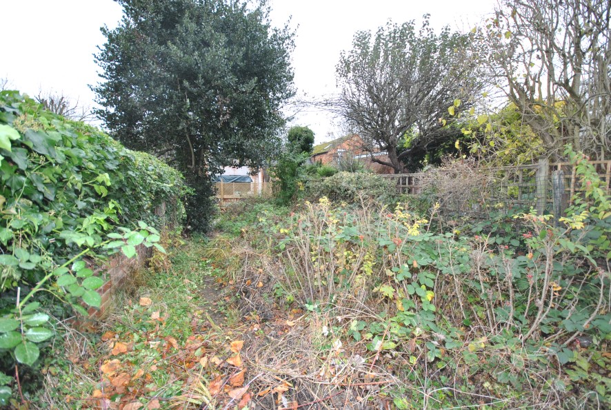 Lot Image