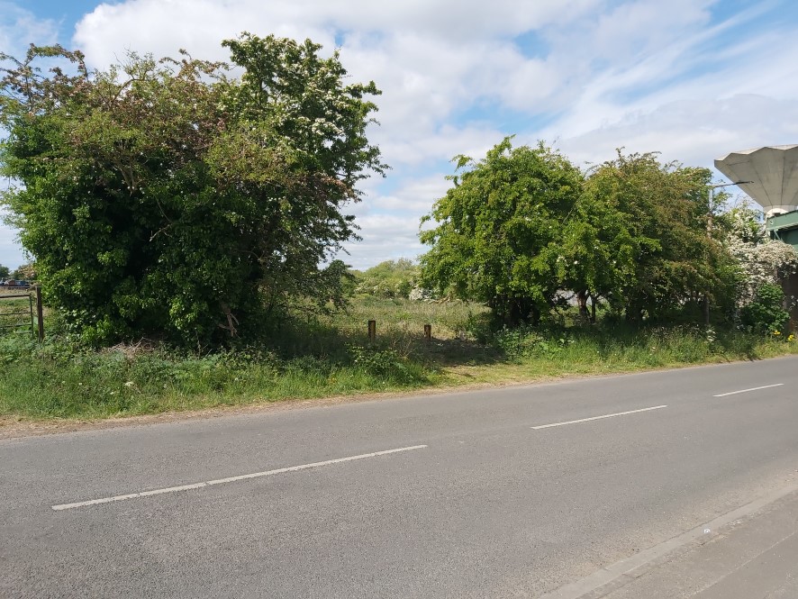 Lot Image