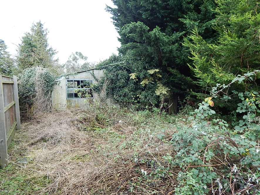 Lot Image
