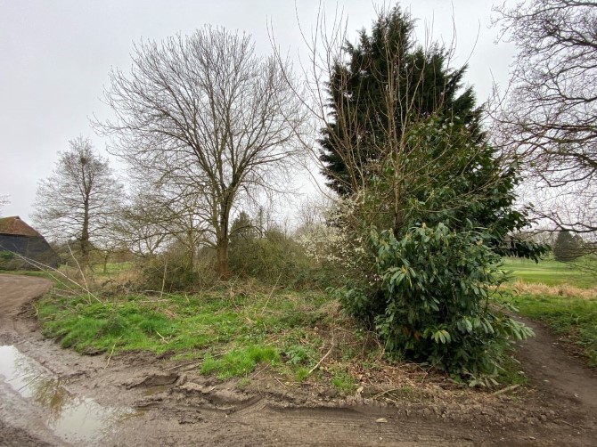 Lot Image