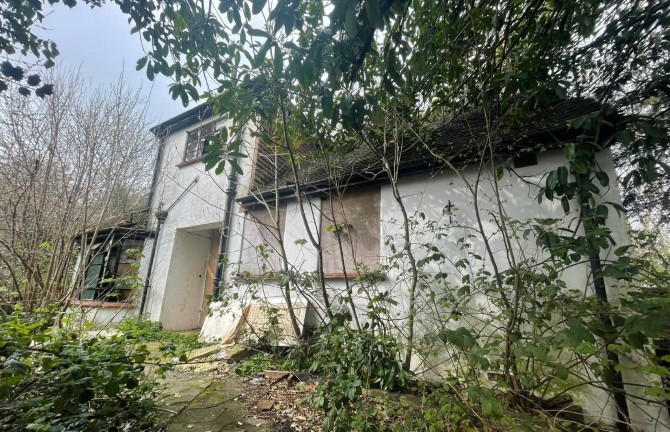 Lot Image