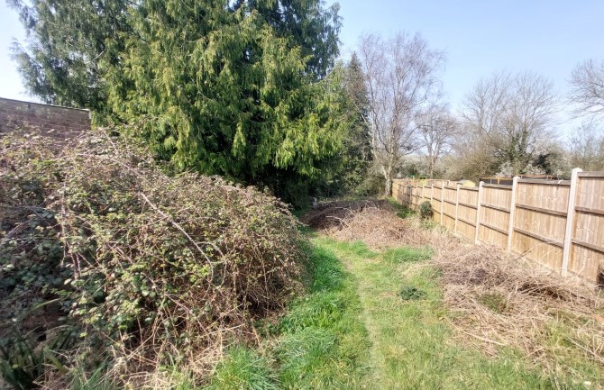 Lot Image
