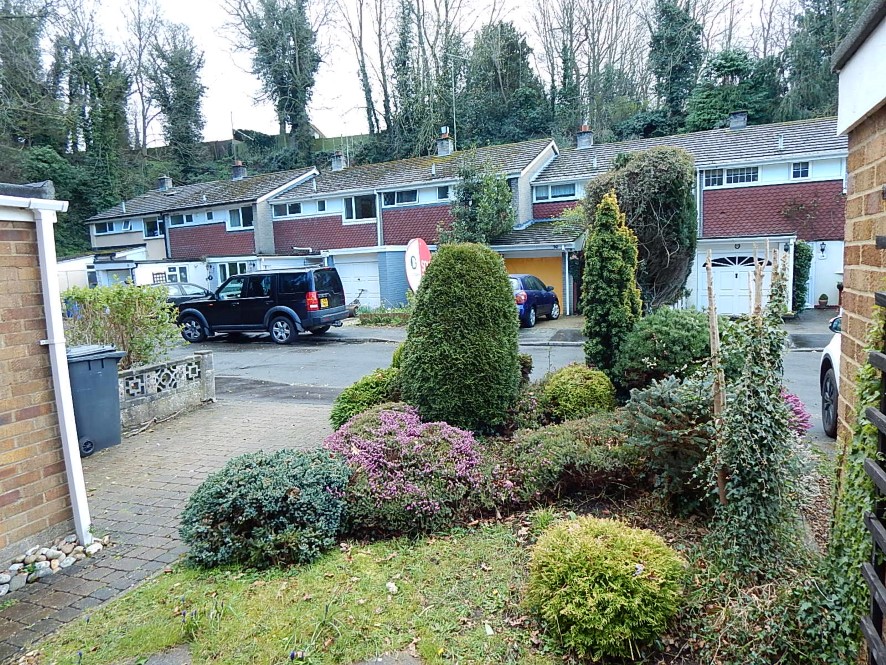Lot Image