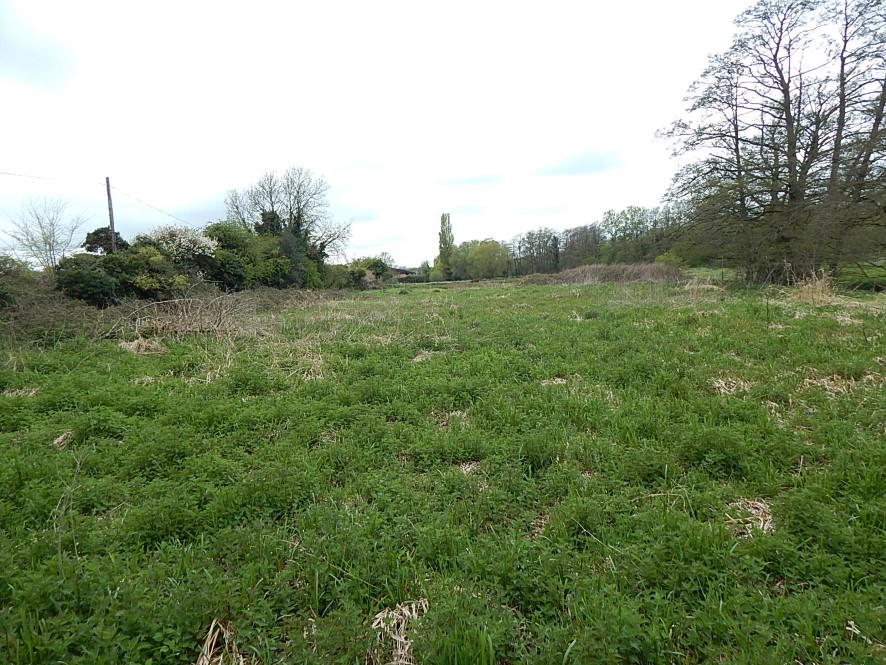 Lot Image