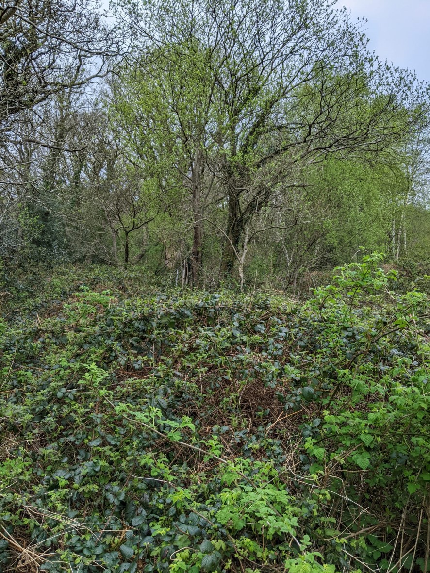Lot Image