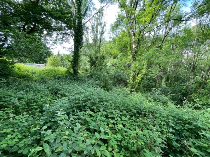Lot Image