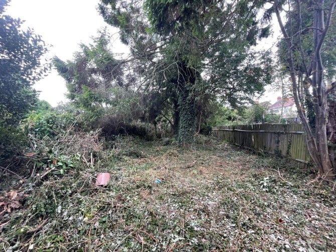 Lot Image
