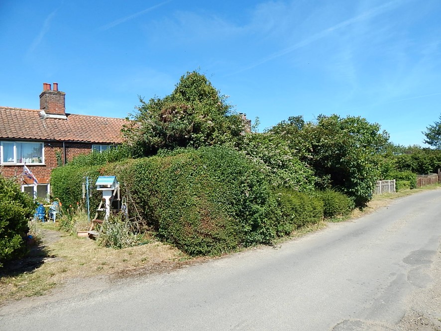 Lot Image