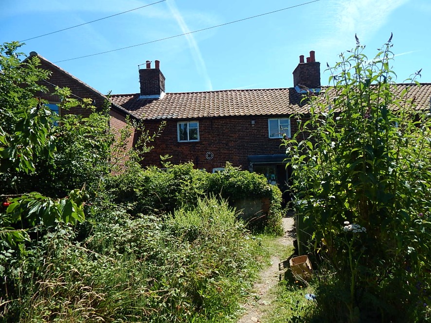 Lot Image