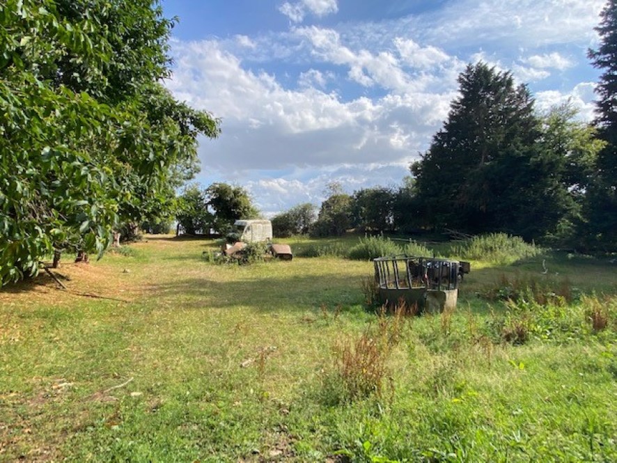 Lot Image