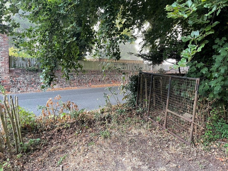 Lot Image