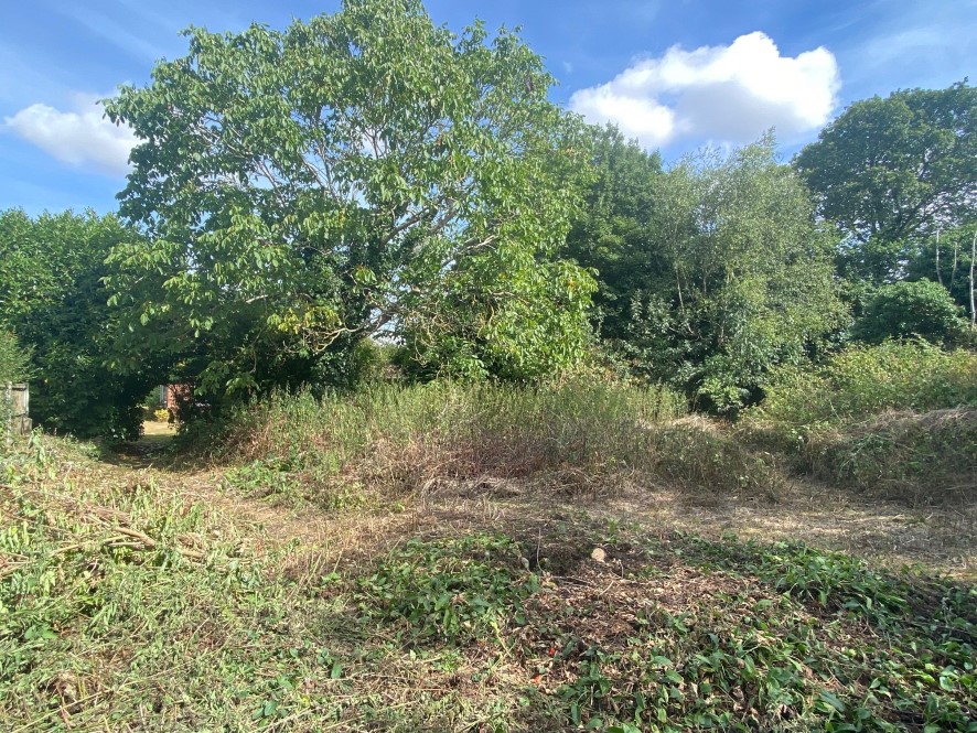 Lot Image